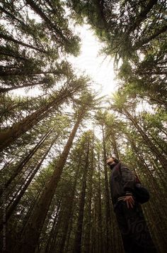 a man standing in the middle of a forest looking up into the sky with his hands on his hips