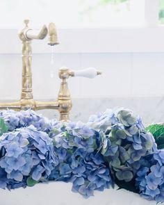 blue hydrangeas in a white bathtub with gold faucet and water running from the faucet