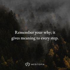 a forest with fog and trees in the background that says, remember your why it gives meaning to every step