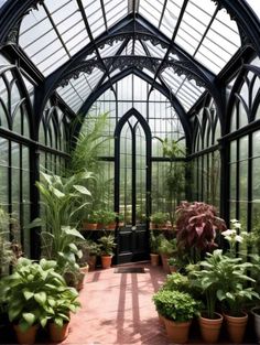 the inside of a greenhouse with potted plants