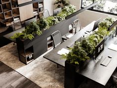 an overhead view of a conference room with plants growing on the desks and bookshelves