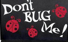 a laptop with the words don't bug me on it and four ladybugs