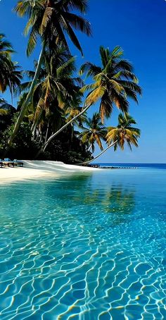 an empty beach with palm trees in the water