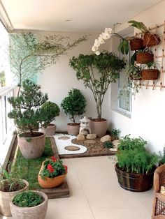 an outdoor patio with potted plants and rocks