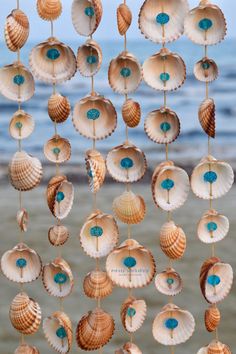 several seashells hanging from strings on the beach