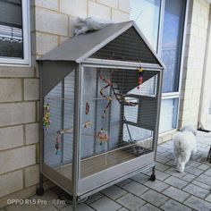 a small white dog standing in front of a house with a birdcage on it's side