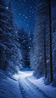 a snow covered road in the middle of a forest at night with stars above it