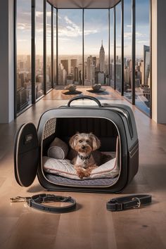 a dog sitting in its bed on the floor next to a large window with city view