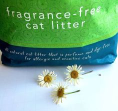 three white daisies sitting next to a green bag with the words, fragrance - free cat litter