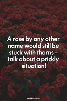 50 Funny Rose Quotes (jokes, puns, and funny rose captions!) Rose Quotes Inspirational Short, Rose Quotes Inspirational, Flower Quotes Instagram, Quotes About Roses, Rose Captions, Rose Flower Quotes, Flowers Thoughts, Flower Captions, Flower Captions For Instagram