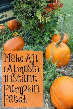 some pumpkins are sitting in the grass near a sign that says make an almost instant pumpkin patch