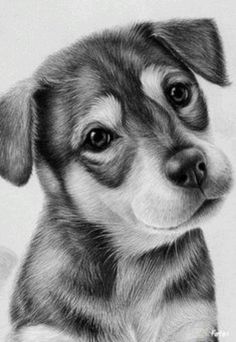 a black and white drawing of a puppy