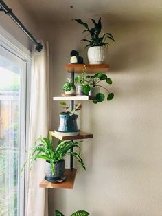 three wooden shelves with plants on them