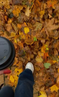 a person standing on top of leaves with a frisbee in the air next to them