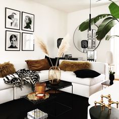 a black and white living room with pictures on the wall, plants in vases