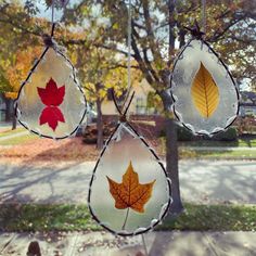 three fall leaves are hanging from the glass in front of a tree and some grass