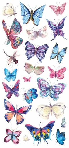 a bunch of different colored butterflies on a white background