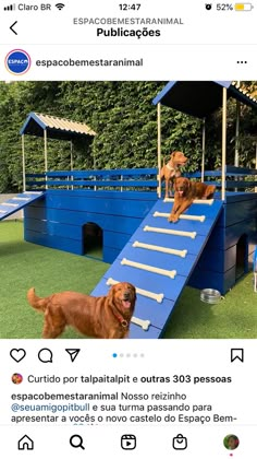 two dogs are climbing up and down a blue dog house on fake grass with trees in the background