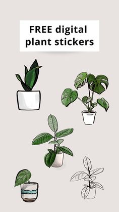 a bunch of potted plants with the text free digital plant stickers