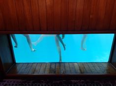 two people are swimming in an aquarium with wood flooring and wooden paneled walls