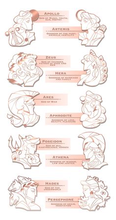 an info sheet showing the various stages of animation