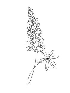 the outline of a flower on a white background is drawn by hand with a pen