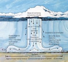 the water cycle is shown in this diagram, as well as other things to see