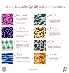 the ultimate animal print fashion vocabulary