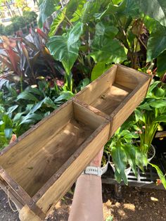 a person holding a wooden box with plants in the background