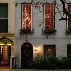 a white building with christmas lights on the windows and trees in the window boxes at night