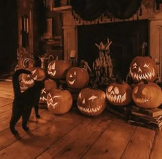 a black cat standing next to pumpkins on a wooden floor in front of a fireplace