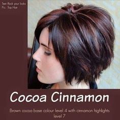 Cocoa Cinnamon Hair Color, Cinnamon Hair Colors, Cinnamon Hair, Hair Color Chocolate, Hair Color Formulas, Fall Hair Color For Brunettes, Red Highlights, Winter Hair Color, Short Hair Color