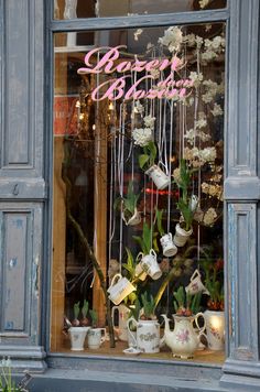 a window display with tea cups and flowers