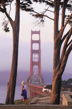 Golden Gate Bridge between two trees. Viewpoint from the presidio in San Francisco at sunset Pch Road Trip, Napa Trip, California Highway, California Hikes, Bridge Photography, Highway 1, Travel Wishlist