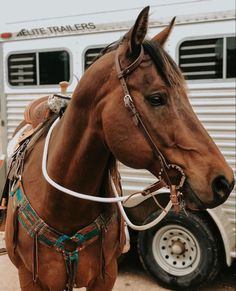 a brown horse wearing a bridle and saddle next to a white trailer in the desert