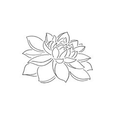 a black and white drawing of a flower