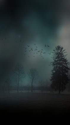 a flock of birds flying in the sky above trees and grass at night with fog