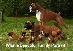 a large brown dog standing on top of a group of puppies in a field