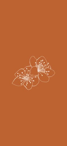 an orange background with white flowers on it