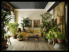 a black cat sitting on top of a wooden table next to potted plants in a living room