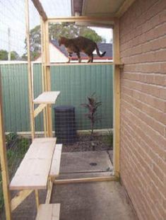 a cat walking on top of a wooden bench next to a brick wall and fence