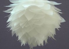 a large white flower on top of a table