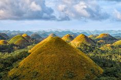 The Perfect 3-Day Bohol Itinerary (with Prices + Local Tips).
Bohol is more than just another island in the Philippines. White sand beaches, breathtaking underwater worlds, enchanting cave pools, iconic Chocolate Hills – Bohol’s got them all!
#Travel #Tour #Trip #TourEiffel #TripOut #Trippiered #Tavelessentialsinspo #Touristoutfit #Touristoutfitspiritweek #Falltravel #TravelOutfit #TravelVisionBoard #TravelEssentialsInspo #Thingstodoinsummer #Europe #Philippines #PhilippinesTravelGuide Philippines Places, Phillipines Travel, Central Visayas, Philippines Tourism, Environmental Research, Puerto Princesa, Socotra