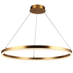 a large circular light fixture with an oval shape and gold trimmings on the bottom