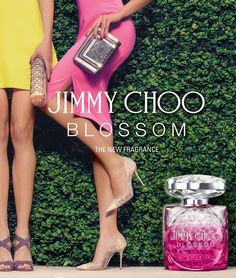 Купить Blossom w 60ml edp Интернет-магазин оригинальной парфюмерии Проект "Ваш-Аромат.ру": духи, другой парфюм, тесты Stella Mccartney Perfume, Jimmy Choo Blossom, Niche Perfume Collection, Perfume Commercial, Perfume Adverts, Jimmy Choo Perfume, Blossom Perfume, Jimmy Choo Clutch, Perfume Ad