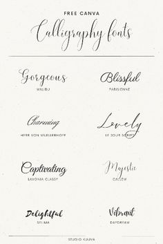 some type of calligraphy font that is in different styles and sizes, with the words below it