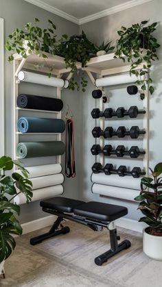 a home gym with plants and exercise equipment