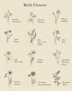 the birth flowers are shown in black and white, with different names on each flower