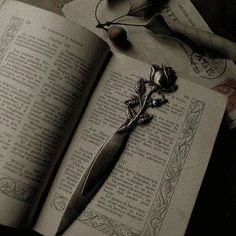 an open book sitting on top of a table next to a rose and a pen