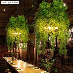 two hanging planters filled with green plants over a long wooden table in a restaurant